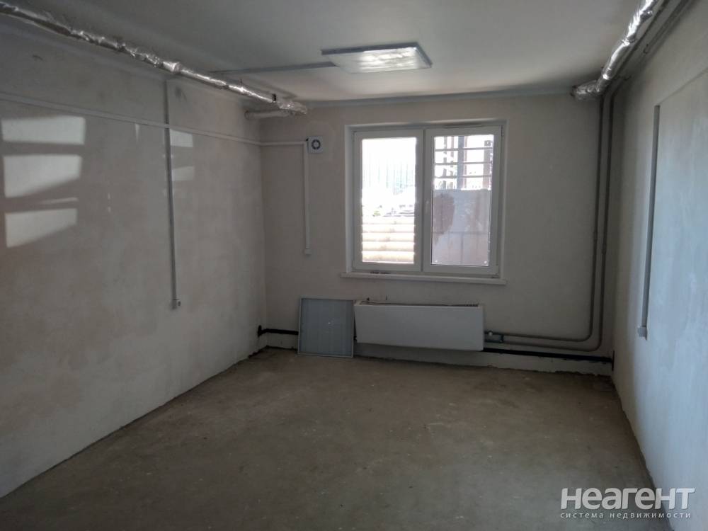 Фотография №3