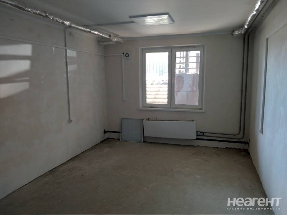 Фотография №4