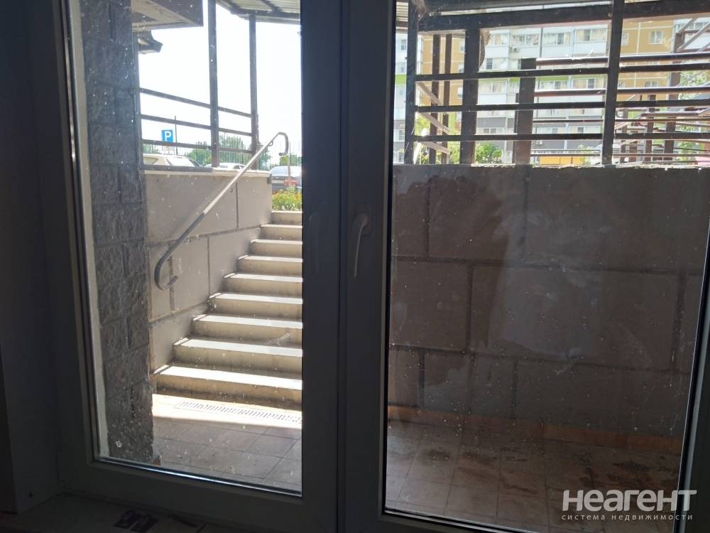 Фотография №6