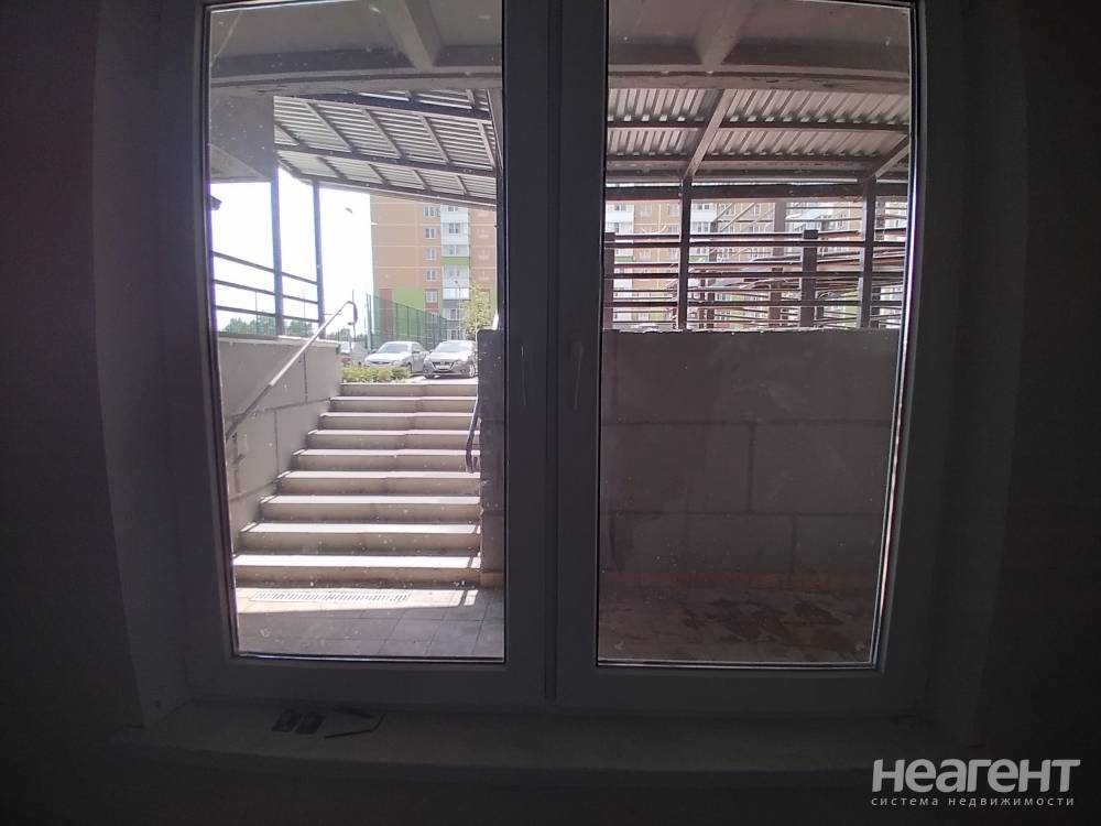 Фотография №8