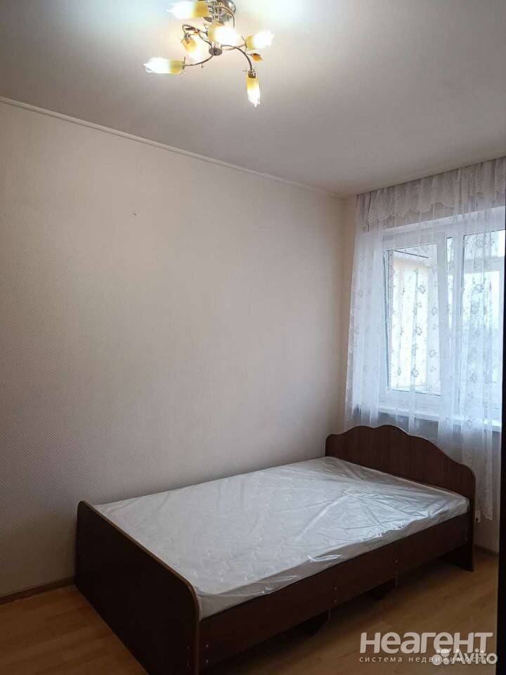 Фотография №4