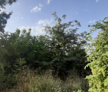 Продается Участок, 440 м²