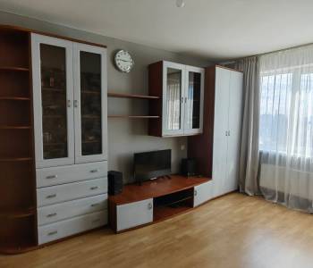 Сдается 1-комнатная квартира, 40 м²