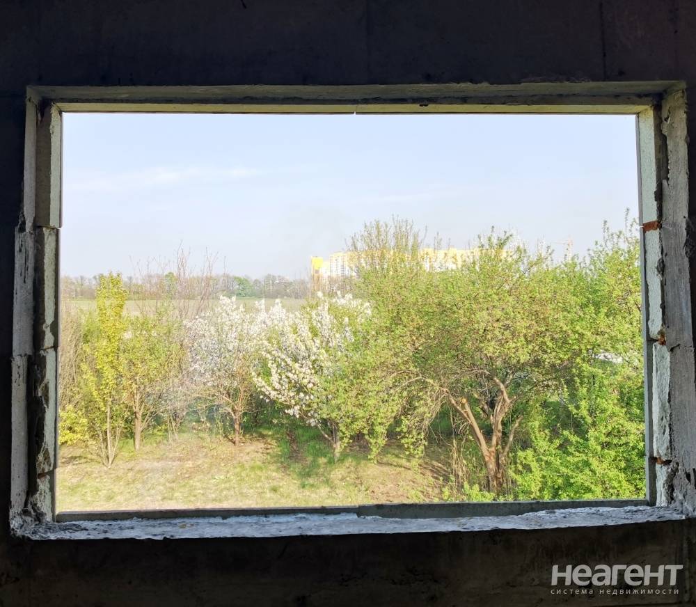 Фотография №11