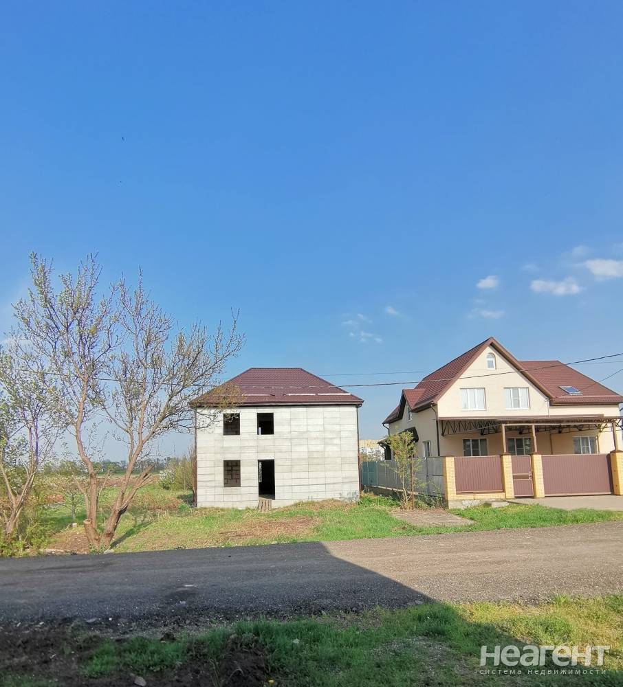 Фотография №12