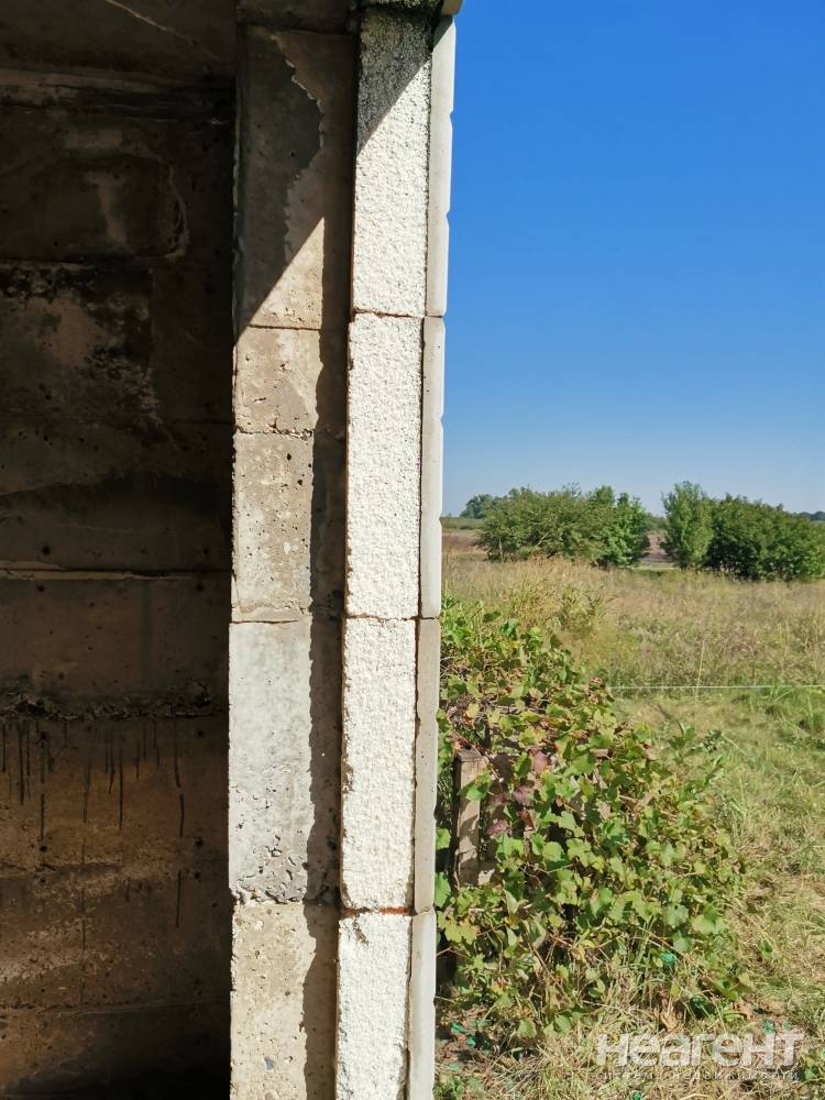 Фотография №4