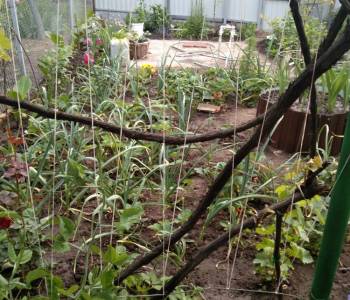 Продается Дом, 43,5 м²