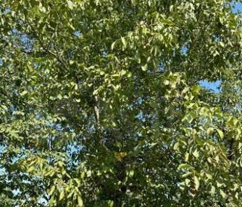 Продается Дом, 59 м²