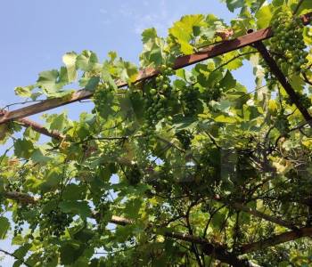 Продается Дом, 38 м²