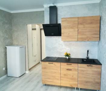 Продается 1-комнатная квартира, 22,6 м²