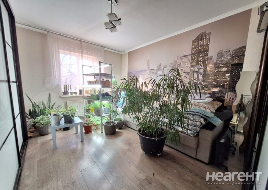 Фотография №3