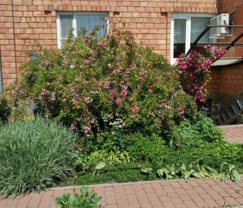 Продается Дом, 220 м²