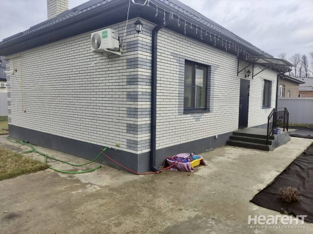 Фотография №12