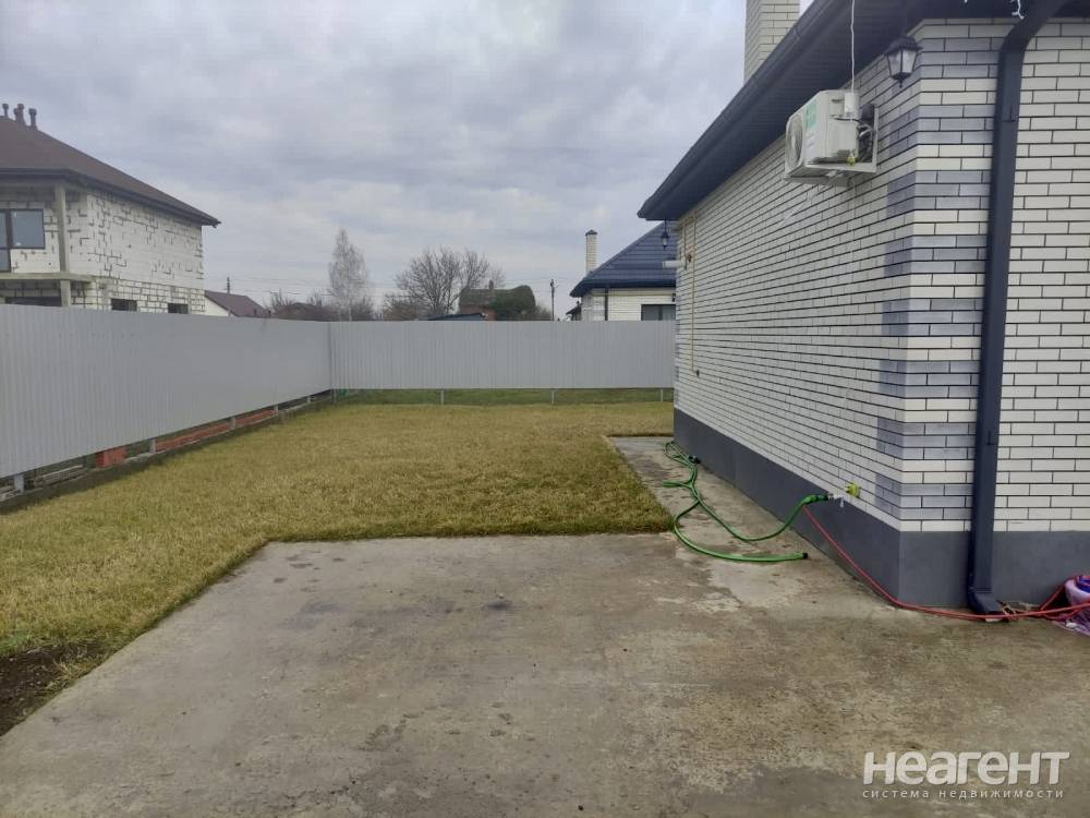 Фотография №11