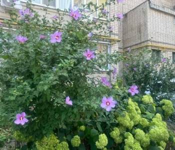 Продается 2-х комнатная квартира, 53 м²