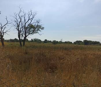 Продается Участок, 1300 м²