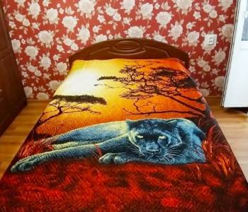 Сдается 2-х комнатная квартира, 42,5 м²