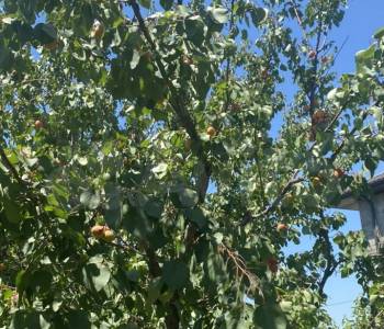 Сдается Дом, 90 м²