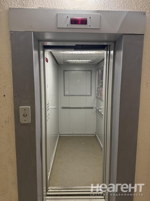 Фотография №4