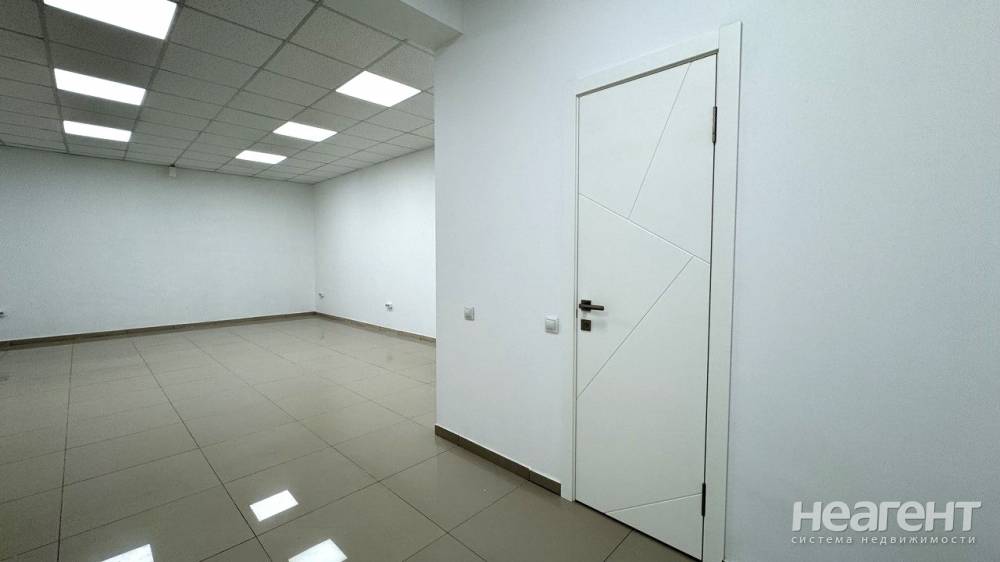 Фотография №4