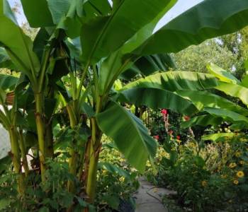 Продается Участок, 400 м²