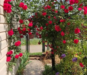 Продается Участок, 400 м²