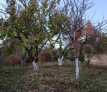 Продается Дом, 20 м²