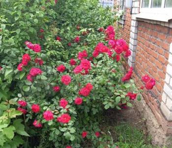 Продается Дом, 20 м²