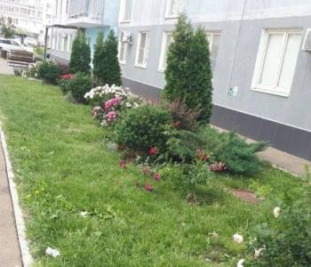 Продается 1-комнатная квартира, 41,7 м²