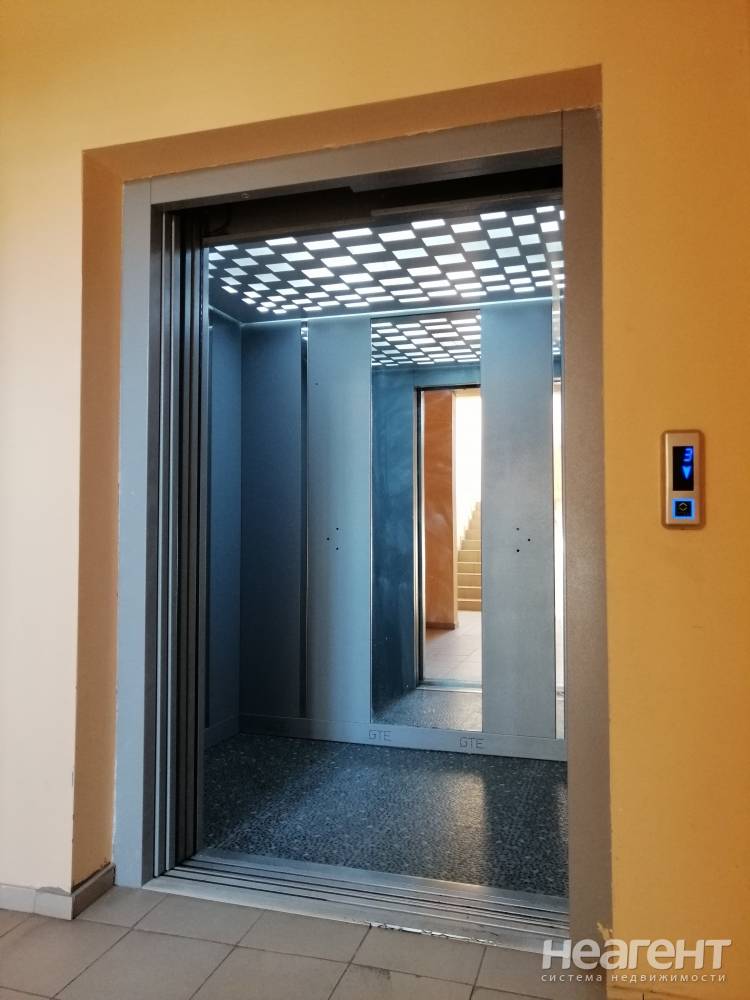 Фотография №8