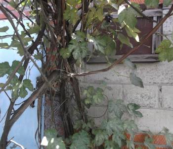 Продается Дом, 154 м²