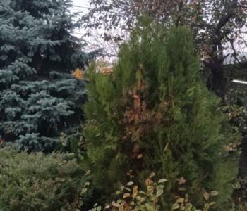 Продается Дом, 70 м²