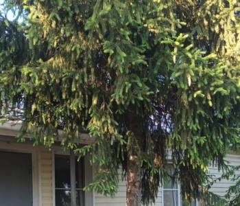 Продается Дом, 70 м²