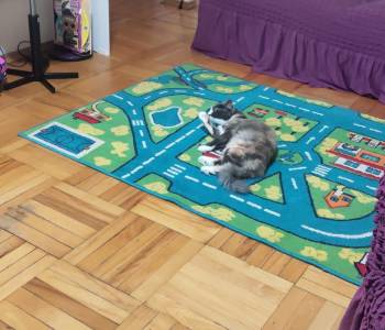 Продается 3-х комнатная квартира, 69 м²