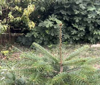 Продается Дом, 116 м²