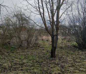 Продается Участок, 800 м²