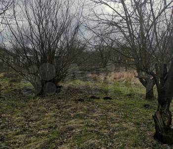 Продается Участок, 800 м²