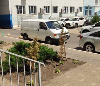 Продается Нежилое помещение, 81,4 м²