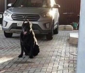 Продается Дом, 80 м²