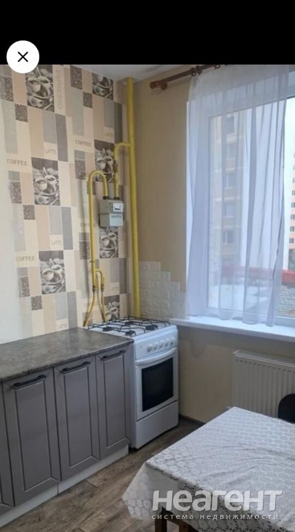 Сдается 1-комнатная квартира, 29,4 м²