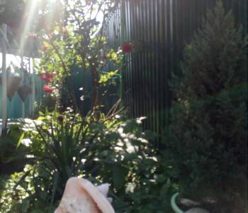 Сдается Дом, 45 м²