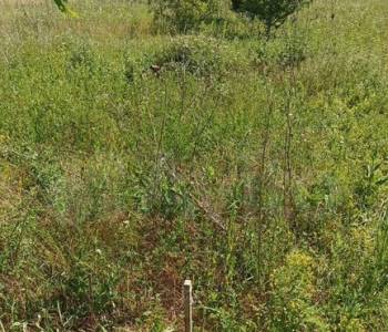 Продается Участок, 800 м²