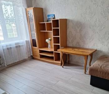 Сдается 1-комнатная квартира, 25,5 м²