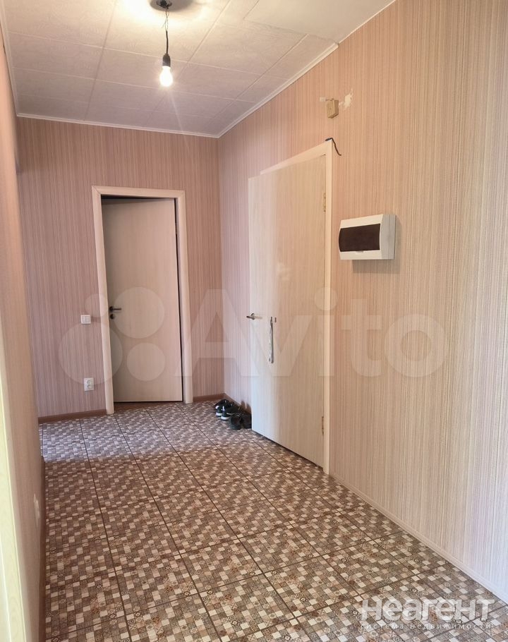 Сдается 2-х комнатная квартира, 65 м²