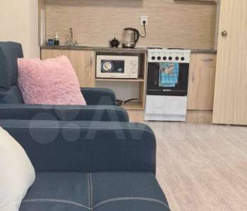 Сдается 1-комнатная квартира, 24,3 м²