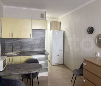 Продается 1-комнатная квартира, 26,2 м²