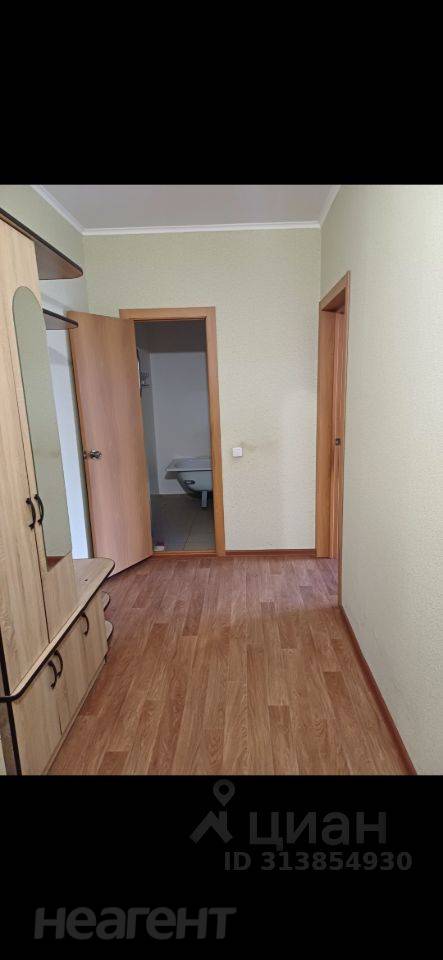 Сдается 1-комнатная квартира, 26,8 м²