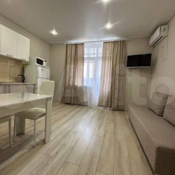 Сдается 1-комнатная квартира, 23,5 м²