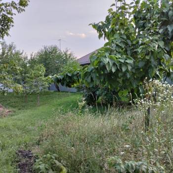 Продается Участок, 500 м²