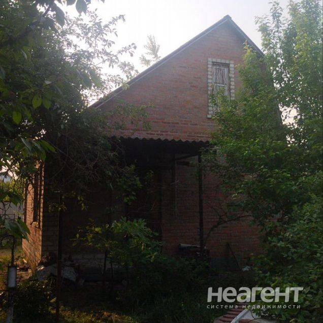 Фотография №3